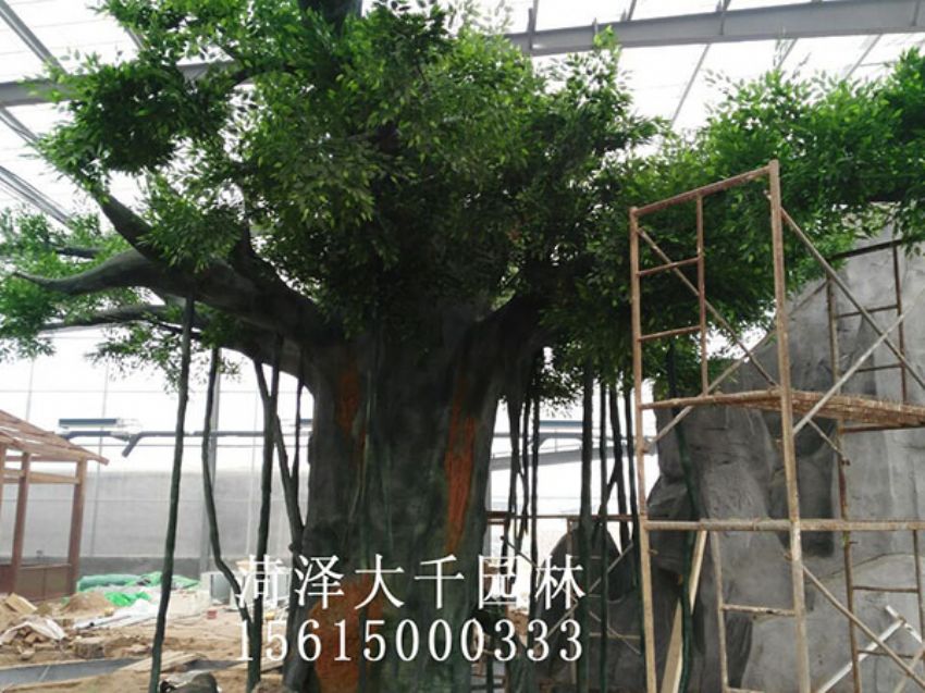 點(diǎn)擊查看詳細(xì)信息<br>標(biāo)題：假樹 閱讀次數(shù)：1428