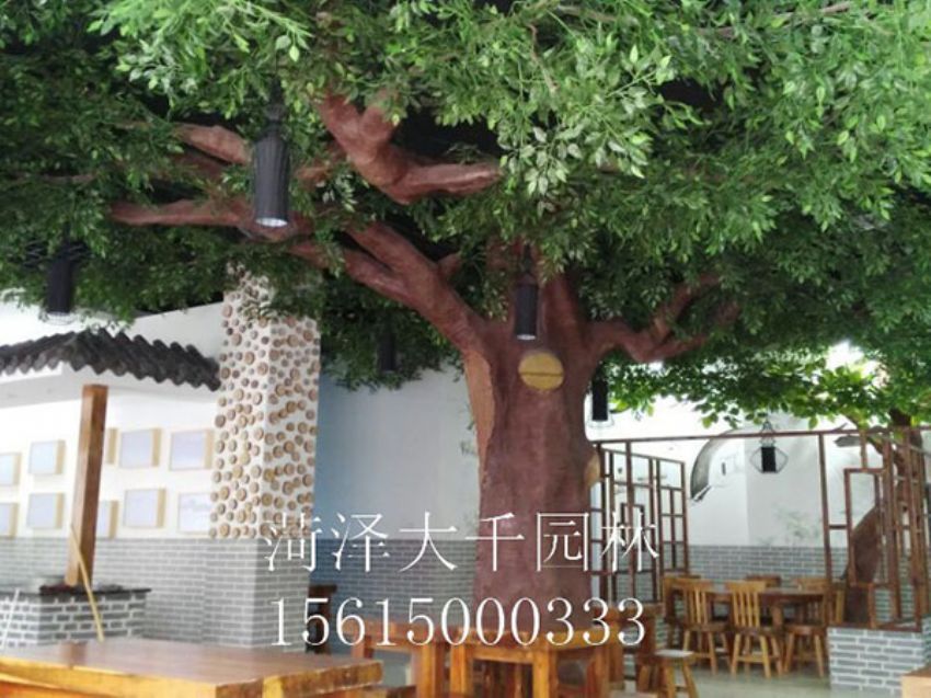 點(diǎn)擊查看詳細(xì)信息<br>標(biāo)題：假樹 閱讀次數(shù)：1360