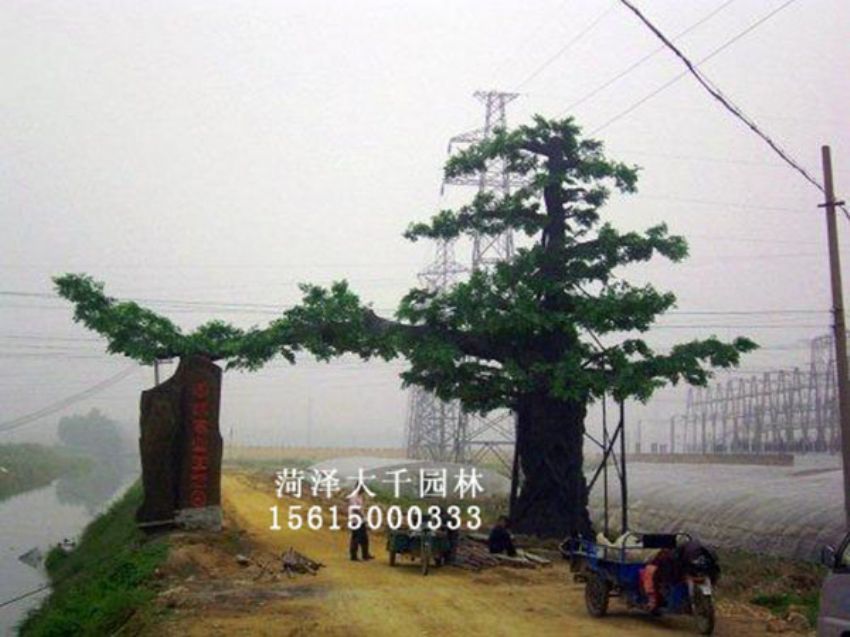 點(diǎn)擊查看詳細(xì)信息<br>標(biāo)題：假樹 閱讀次數(shù)：1291