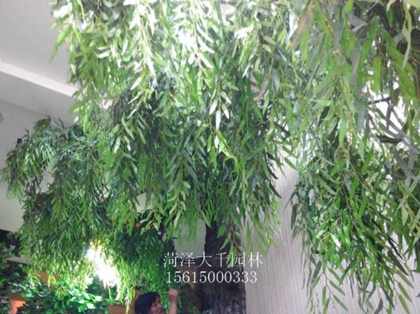 點(diǎn)擊查看詳細(xì)信息<br>標(biāo)題：假樹 閱讀次數(shù)：1310