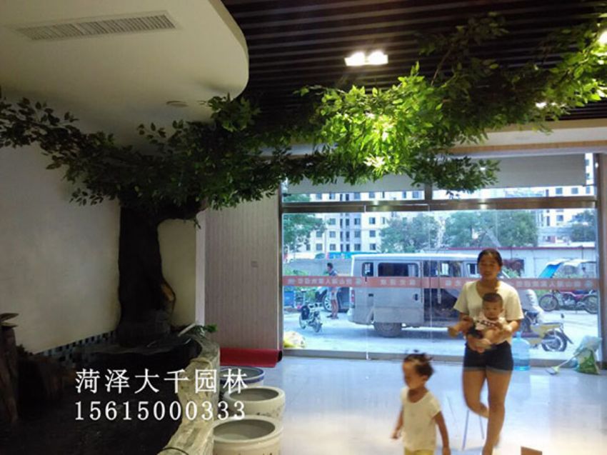 點(diǎn)擊查看詳細(xì)信息<br>標(biāo)題：假樹 閱讀次數(shù)：1334