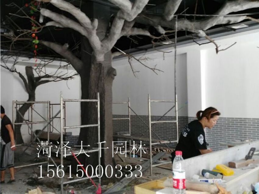 點(diǎn)擊查看詳細(xì)信息<br>標(biāo)題：假樹 閱讀次數(shù)：1309