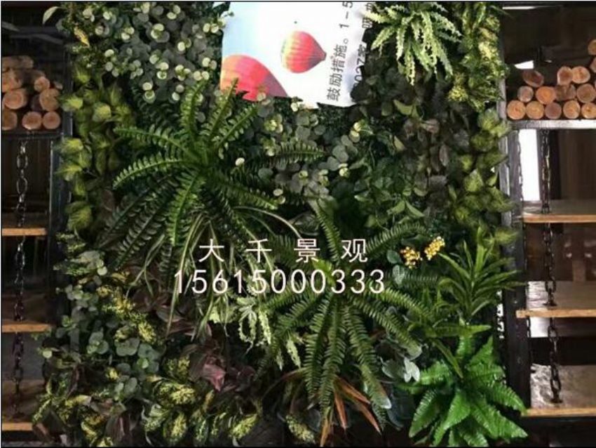 點(diǎn)擊查看詳細(xì)信息<br>標(biāo)題：綠植墻 閱讀次數(shù)：1337