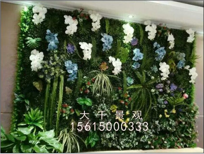 點(diǎn)擊查看詳細(xì)信息<br>標(biāo)題：綠植墻 閱讀次數(shù)：1643