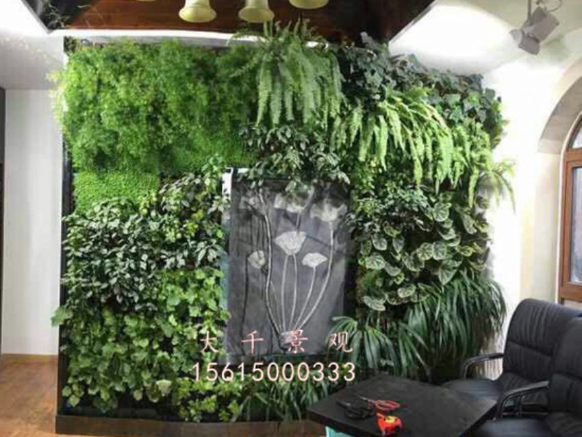 點(diǎn)擊查看詳細(xì)信息<br>標(biāo)題：綠植墻 閱讀次數(shù)：1689