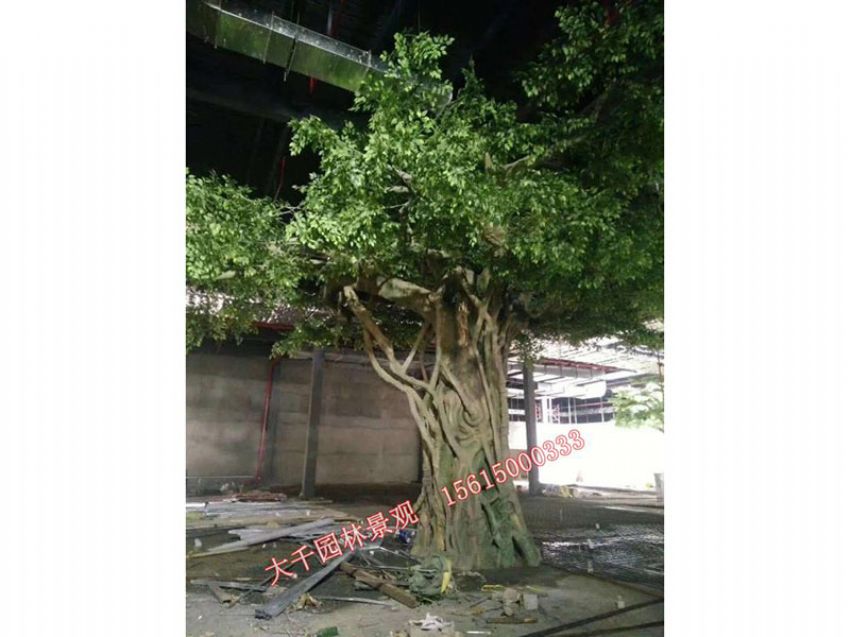 點(diǎn)擊查看詳細(xì)信息<br>標(biāo)題：假樹(shù) 閱讀次數(shù)：1615